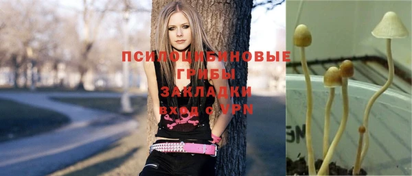 шишки Киреевск
