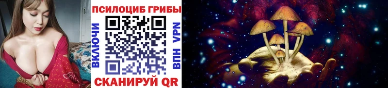 Псилоцибиновые грибы MAGIC MUSHROOMS  Купить закладки  Рудня 