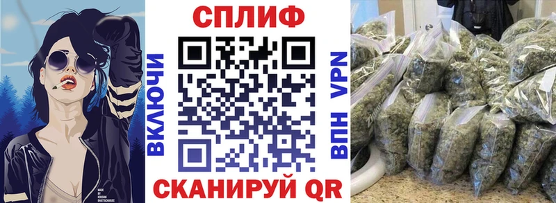 Бошки Шишки White Widow  Купить закладки  Рудня 
